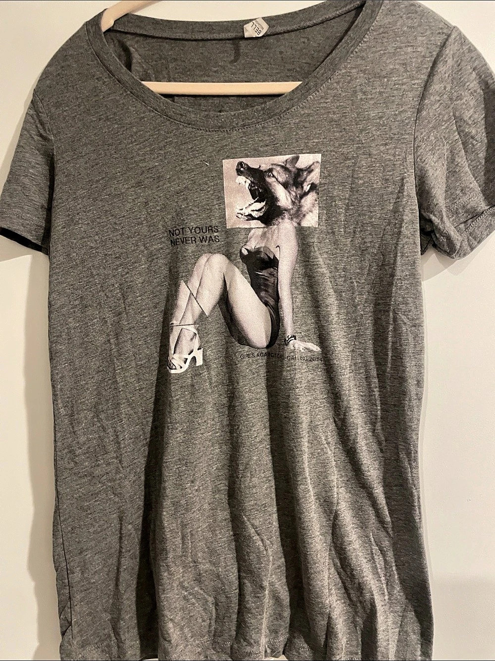 Wolf Bella Graphic Short Sleeve Tee in Gray